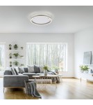 Paul Neuhaus Ritus Lampa Sufitowa Aluminium 15391-95