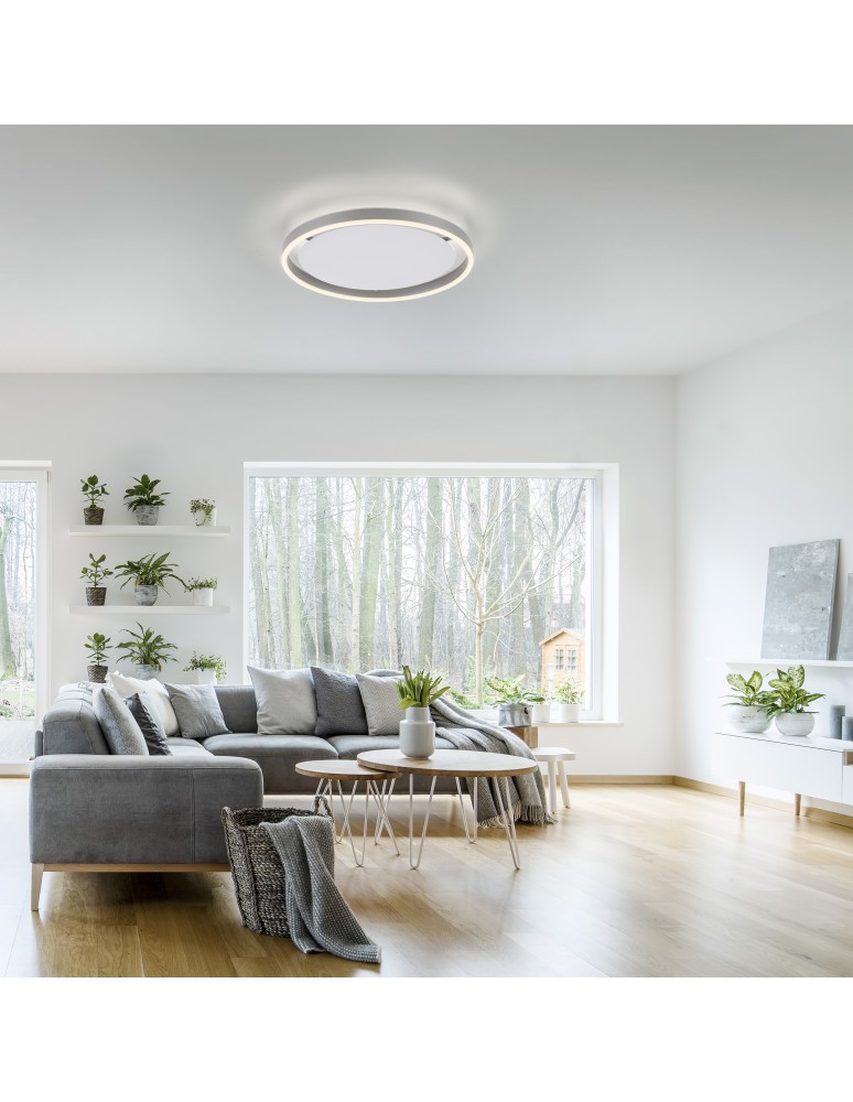 Paul Neuhaus Ritus Lampa Sufitowa Aluminium 15391-95