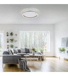 Paul Neuhaus Ritus Lampa Sufitowa Aluminium 15391-95