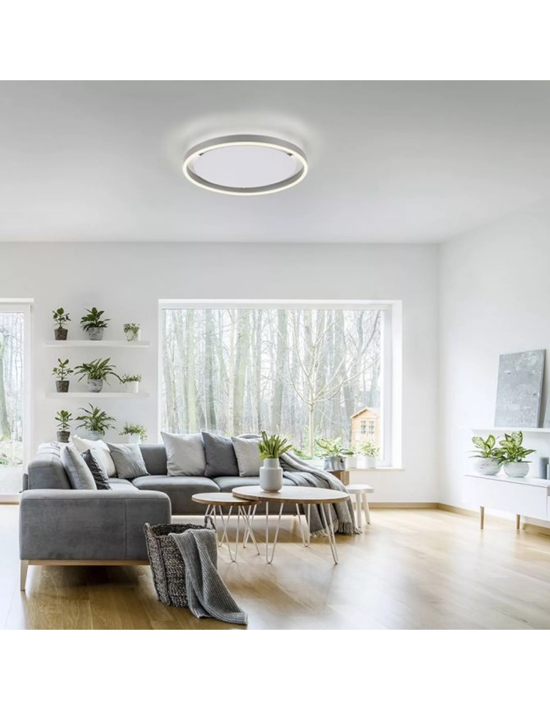 Paul Neuhaus Ritus Lampa Sufitowa Aluminium 15391-95