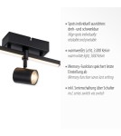 Paul Neuhaus Barik Lampa Sufitowa Czarny 6523-18