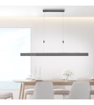 Paul Neuhaus Pure-Moto Lampa Wisząca Szary 2525-15