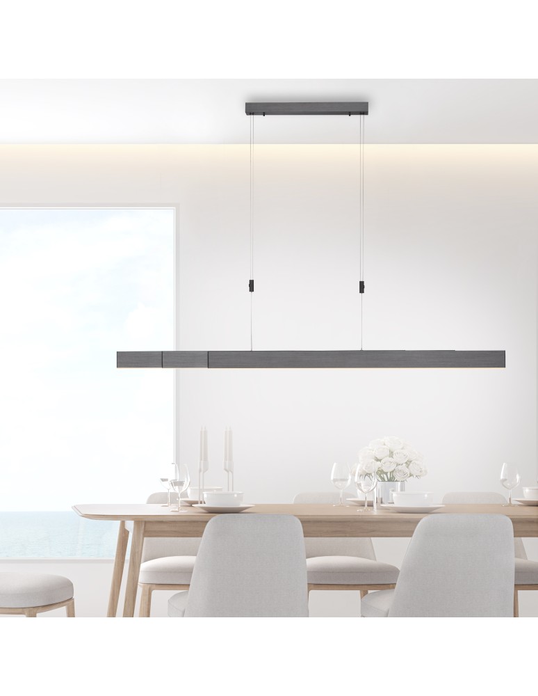Paul Neuhaus Pure-Moto Lampa Wisząca Szary 2525-15