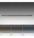 Paul Neuhaus Pure-Moto Lampa Wisząca Szary 2525-15