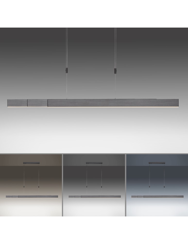Paul Neuhaus Pure-Moto Lampa Wisząca Szary 2525-15