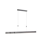 Paul Neuhaus Pure-Moto Lampa Wisząca Szary 2525-15