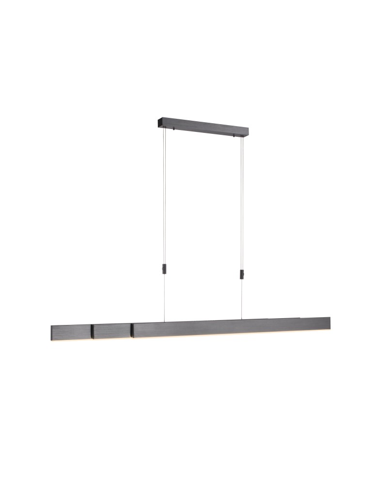 Paul Neuhaus Pure-Moto Lampa Wisząca Szary 2525-15