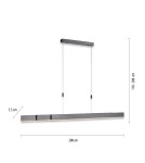 Paul Neuhaus Pure-Moto Lampa Wisząca Szary 2525-15