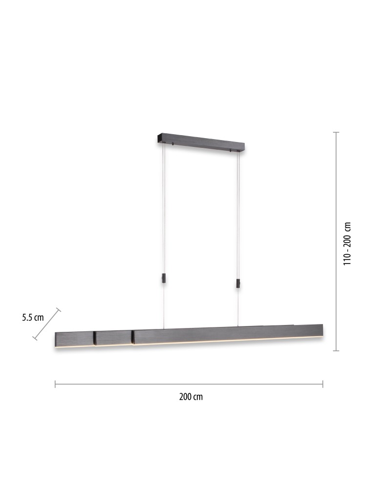 Paul Neuhaus Pure-Moto Lampa Wisząca Szary 2525-15