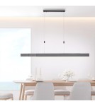 Paul Neuhaus Pure-Moto Lampa Wisząca Szary 2525-15