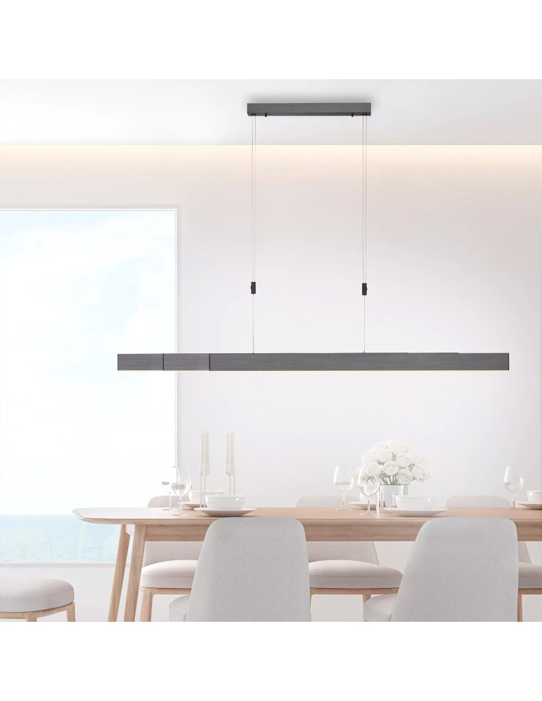 Paul Neuhaus Pure-Moto Lampa Wisząca Szary 2525-15
