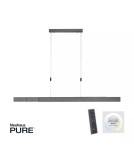Paul Neuhaus Pure-Moto Lampa Wisząca Szary 2525-15