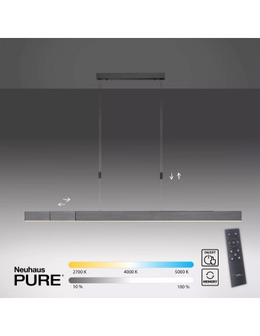 Paul Neuhaus Pure-Moto Lampa Wisząca Szary 2525-15
