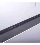 Paul Neuhaus Pure-Moto Lampa Wisząca Szary 2525-15