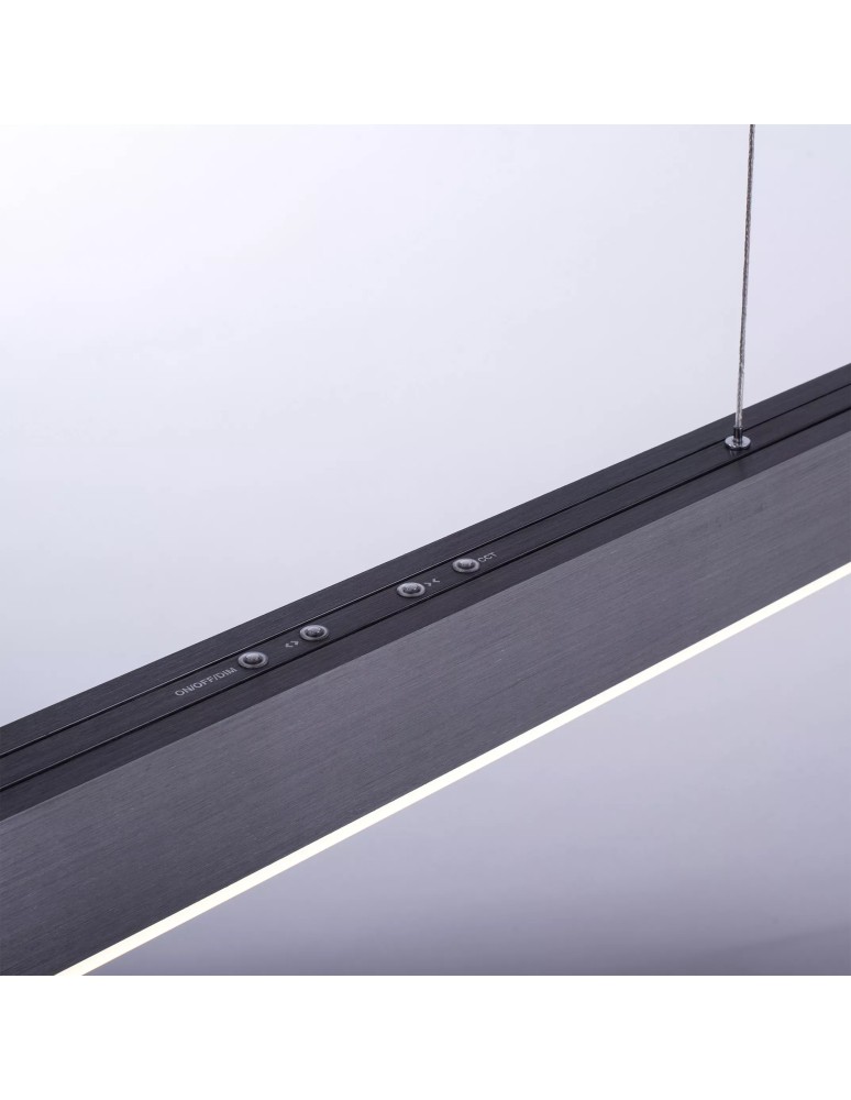 Paul Neuhaus Pure-Moto Lampa Wisząca Szary 2525-15