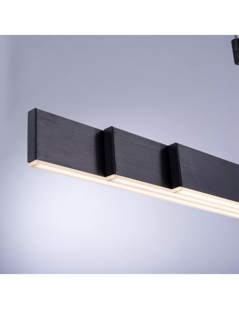 Paul Neuhaus Pure-Moto Lampa Wisząca Szary 2525-15