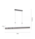 Paul Neuhaus Pure-Moto Lampa Wisząca Szary 2525-15