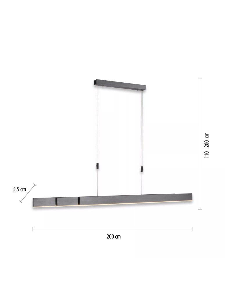 Paul Neuhaus Pure-Moto Lampa Wisząca Szary 2525-15