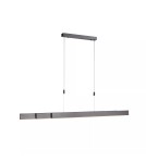 Paul Neuhaus Pure-Moto Lampa Wisząca Szary 2525-15