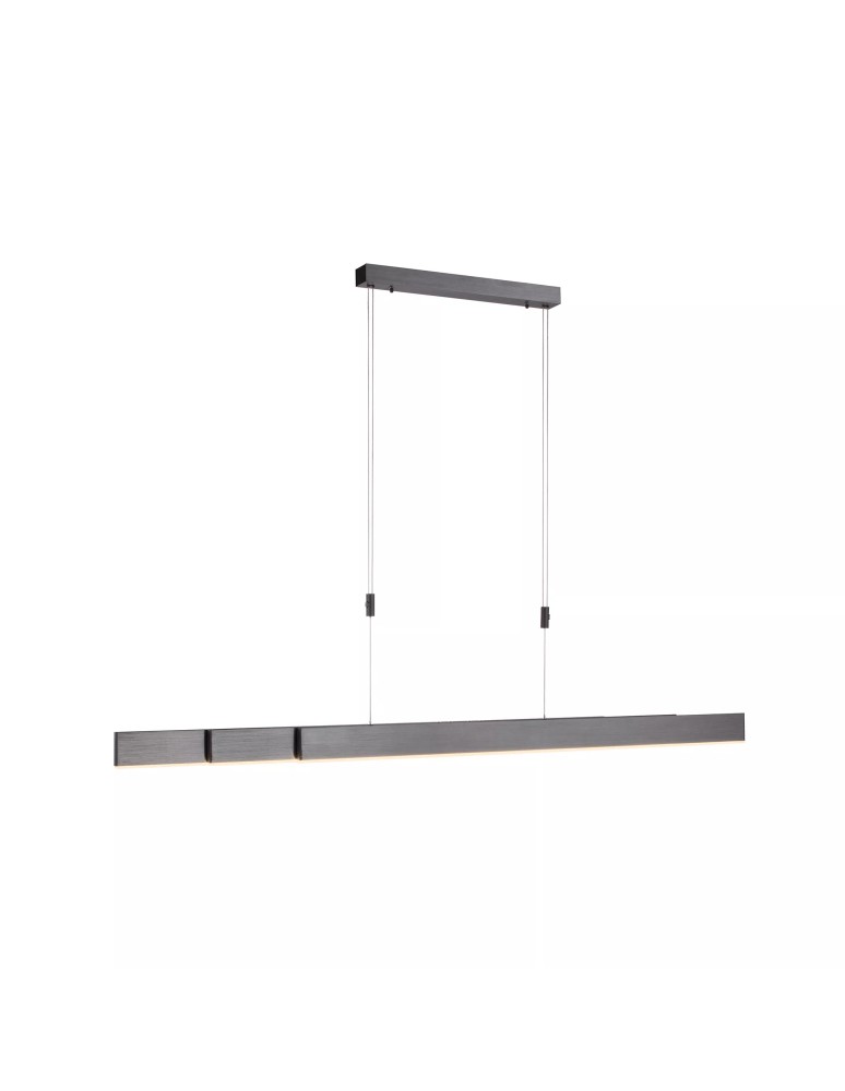 Paul Neuhaus Pure-Moto Lampa Wisząca Szary 2525-15