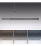 Paul Neuhaus Pure-Moto Lampa Wisząca Szary 2525-15