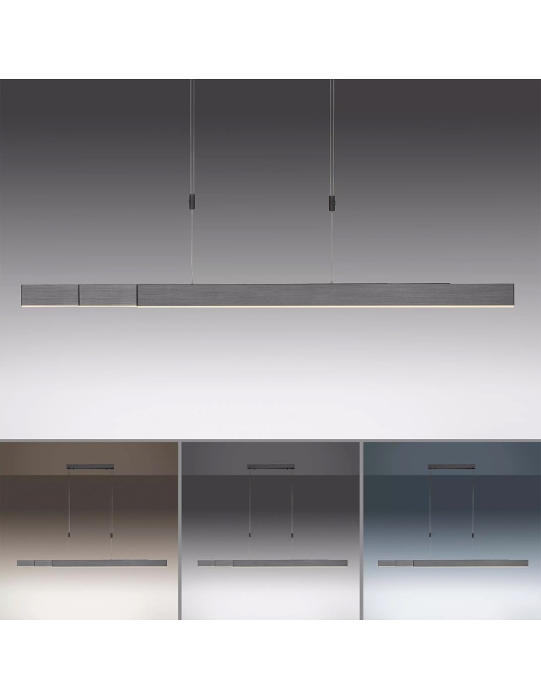 Paul Neuhaus Pure-Moto Lampa Wisząca Szary 2525-15