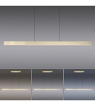 Paul Neuhaus Pure-Moto-Rise Lampa Wisząca Matowy Mosiądz 2545-60