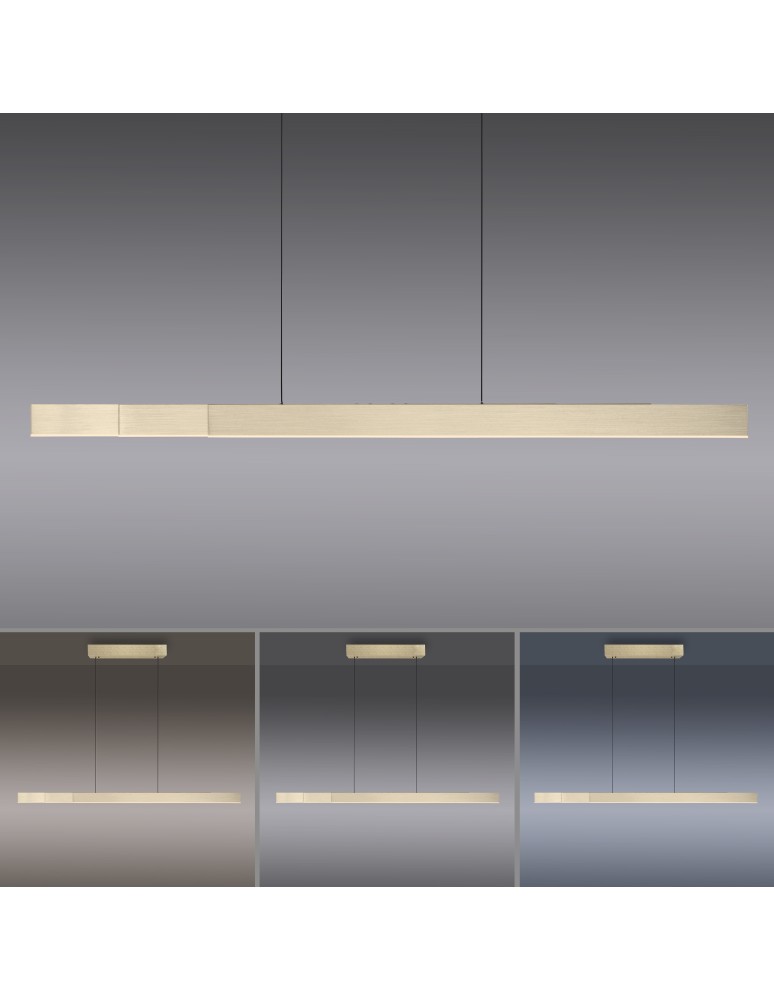 Paul Neuhaus Pure-Moto-Rise Lampa Wisząca Matowy Mosiądz 2545-60