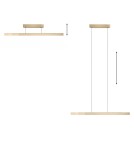 Paul Neuhaus Pure-Moto-Rise Lampa Wisząca Matowy Mosiądz 2545-60