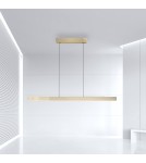 Paul Neuhaus Pure-Moto-Rise Lampa Wisząca Matowy Mosiądz 2545-60