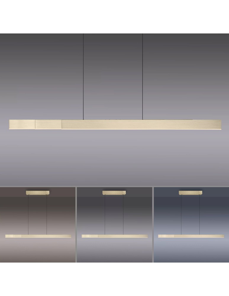 Paul Neuhaus Pure-Moto-Rise Lampa Wisząca Matowy Mosiądz 2545-60