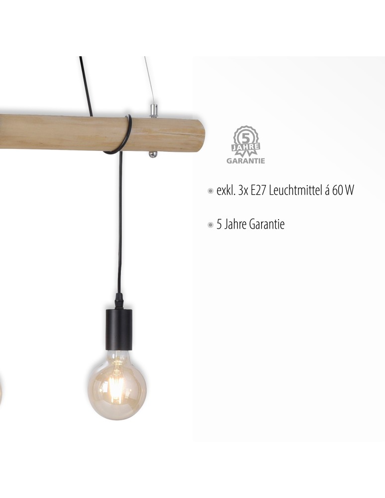Paul Neuhaus Edgar Lampa Wisząca Czarny/Drewno 15503-18
