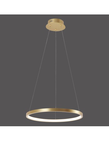 Paul Neuhaus Circle Lampa Wisząca Złoty 11522-12