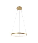 Paul Neuhaus Circle Lampa Wisząca Złoty 11522-12
