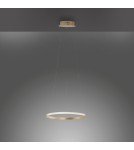 Paul Neuhaus Circle Lampa Wisząca Złoty 11522-12