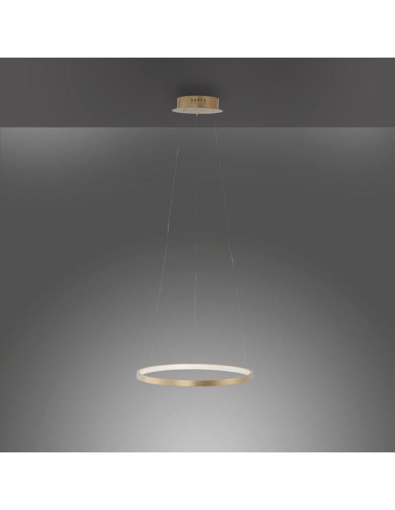 Paul Neuhaus Circle Lampa Wisząca Złoty 11522-12