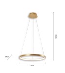 Paul Neuhaus Circle Lampa Wisząca Złoty 11522-12