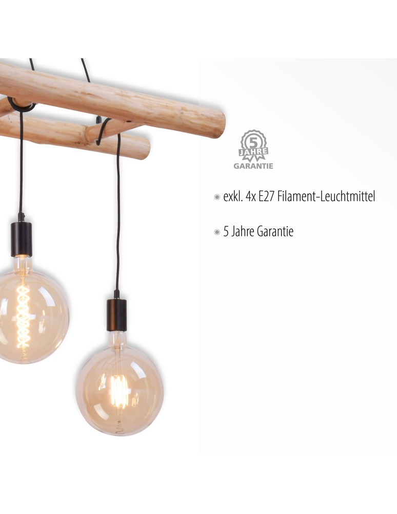 Paul Neuhaus Edgar Lampa Wisząca Czarny/Drewno 15025-18
