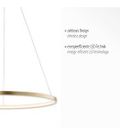Paul Neuhaus Circle Lampa Wisząca Złoty 11524-12