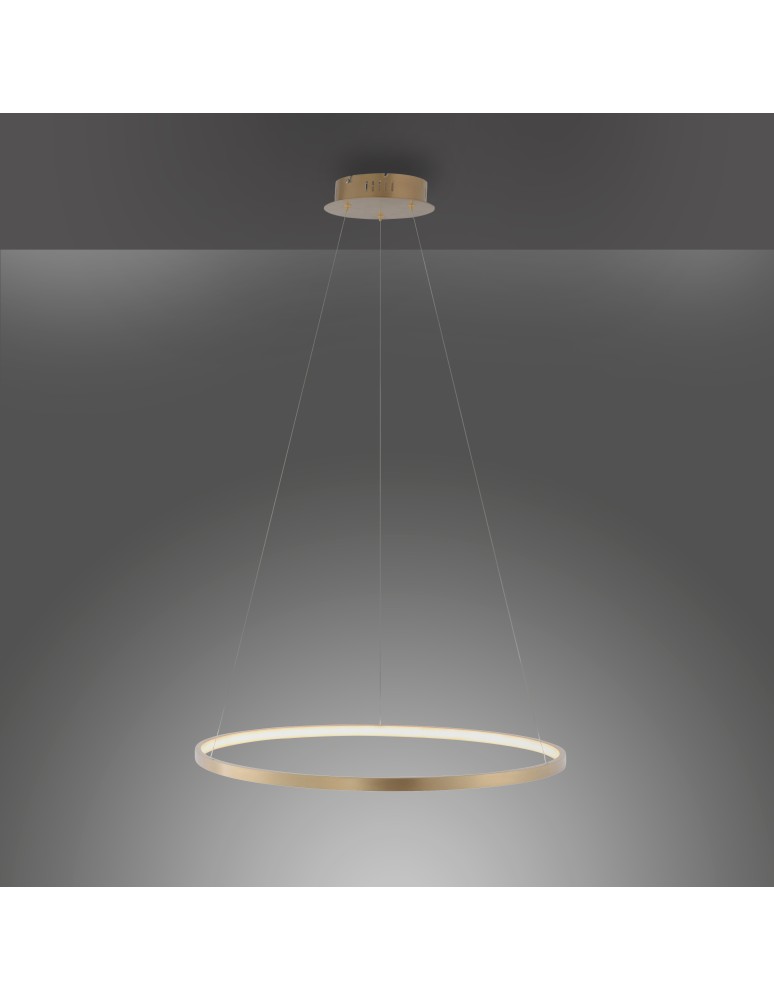 Paul Neuhaus Circle Lampa Wisząca Złoty 11524-12