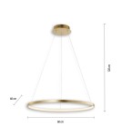 Paul Neuhaus Circle Lampa Wisząca Złoty 11524-12