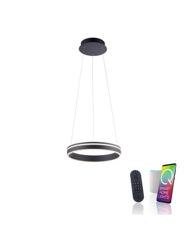 Paul Neuhaus Q-Vito Lampa Wisząca Antracyt 8410-13 - product 2