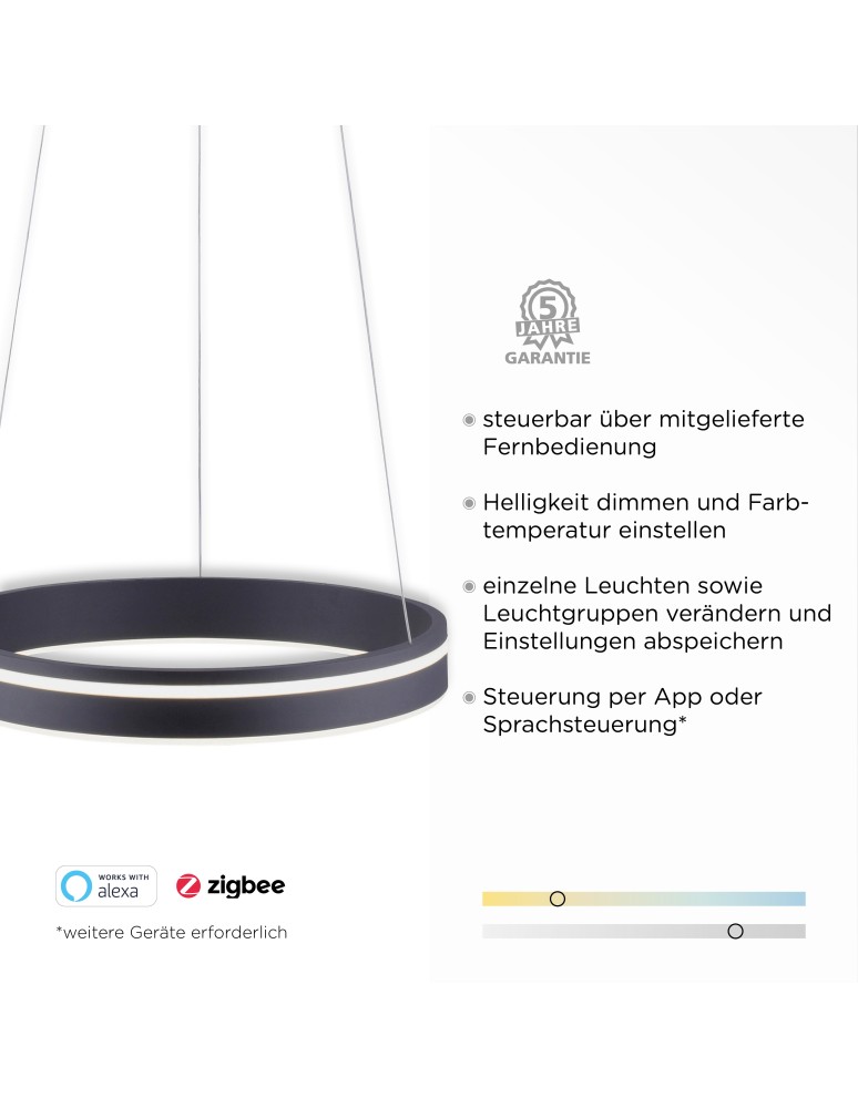 Paul Neuhaus Q-Vito Lampa Wisząca Antracyt 8410-13
