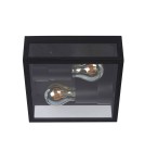 Hermetic plafonds - Lucide DUKAN Ceiling 2xE27 black 15802/02/30 - product 3