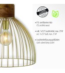 Paul Neuhaus Alami Lampa Wisząca Matowy Mosiądz 11489-60