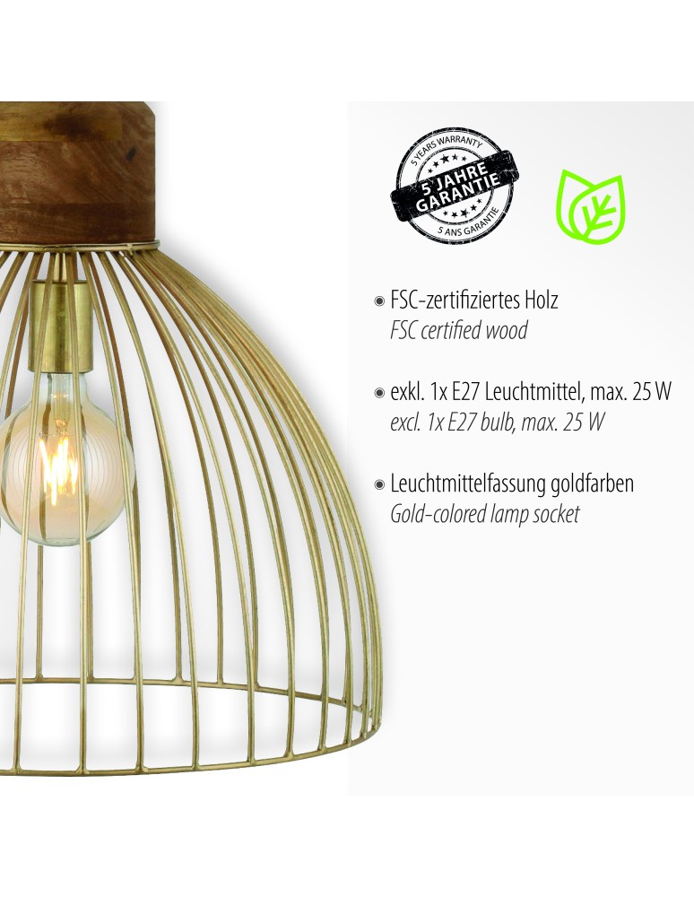Paul Neuhaus Alami Lampa Wisząca Matowy Mosiądz 11489-60
