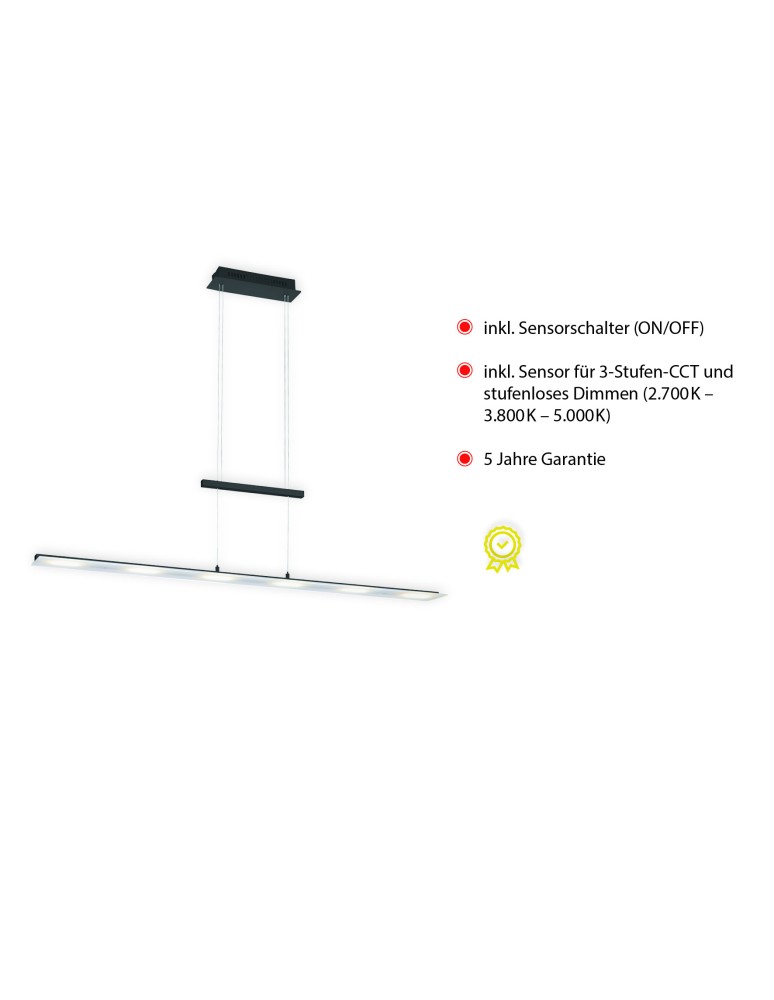 Paul Neuhaus Nele Lampa Wisząca Antracyt 15880-13