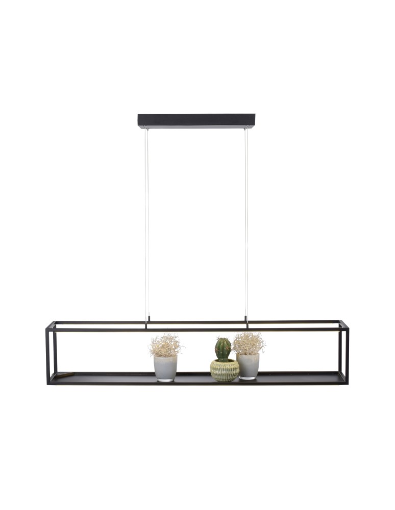 Paul Neuhaus Contura Lampa Wisząca Czarny 2441-18