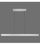 Paul Neuhaus Pure-Moto-Rise Lampa Wisząca Aluminium 2545-95