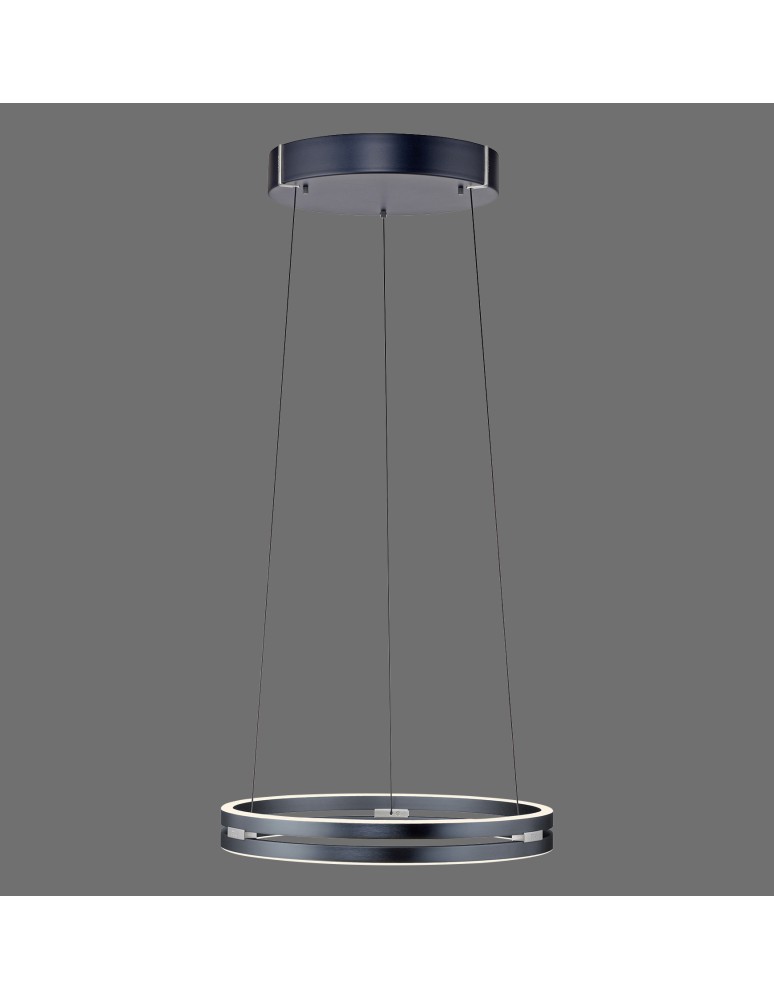 Paul Neuhaus Pure E-Loop Lampa Wisząca Szary 2550-15
